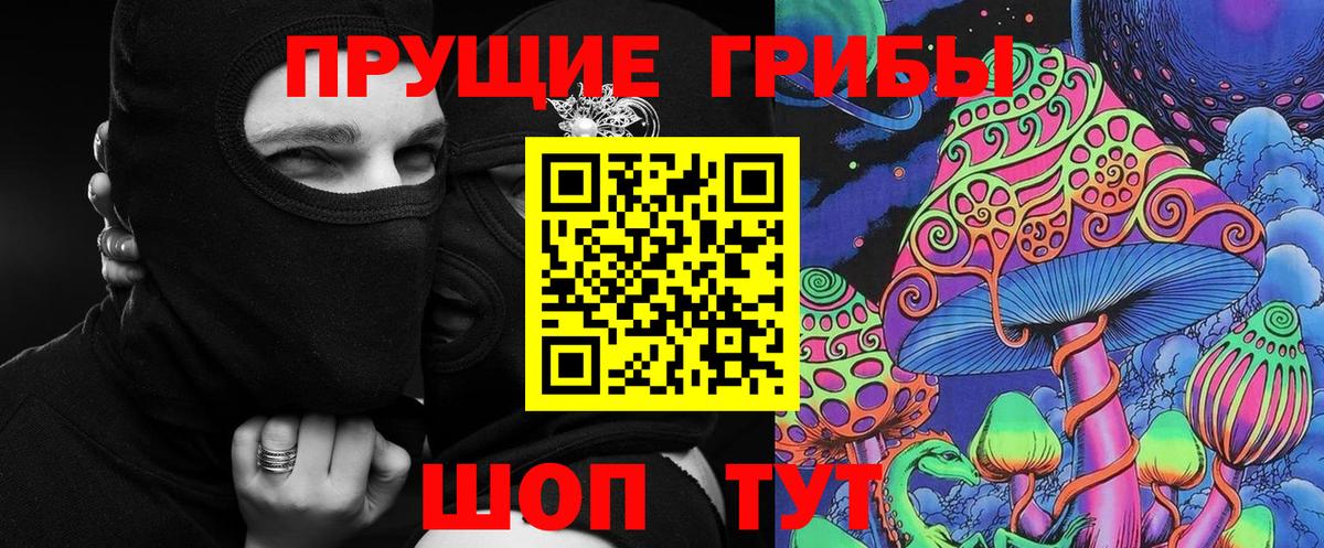 Псилоцибиновые грибы прущие грибы  Псилоцибиновые грибы Cubensis  Вход с VPN  Альметьевск 