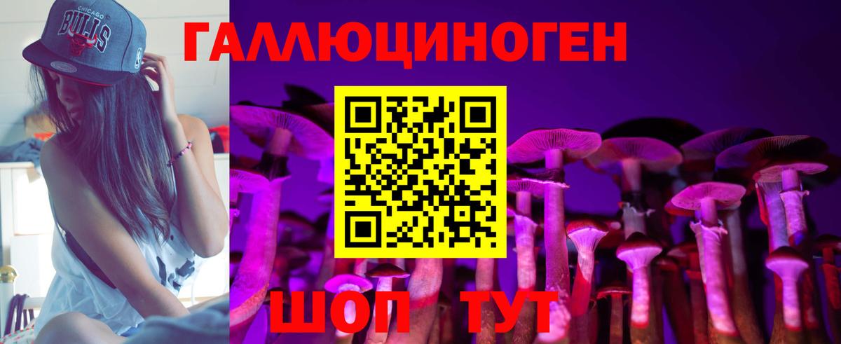Псилоцибиновые грибы Psilocybe Альметьевск